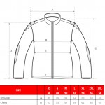 NSL-101-chart